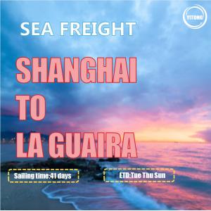 YML OOCL Liner International Sea Freight From Shanghai To La Guaira Venezuala