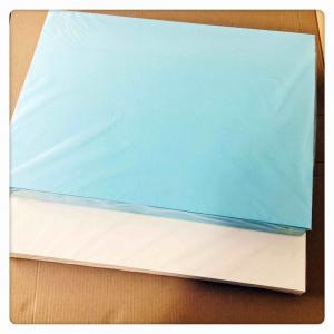 Blue Decal Transfer Paper 400 * 600mm Good Slip For Nails Art / Organic