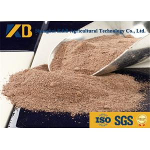 Plant Source Raw Brown Rice Protein Powder Feed Grade For Egg Chicken