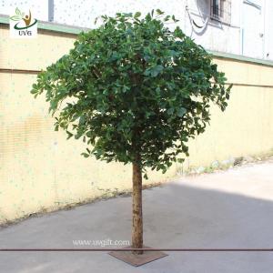 UVG GRE024 Wholesale green artificial money tree plant for restaurant decoration 6ft high