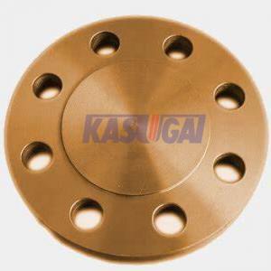 BL Flat Face Blind Flange ASTM B151 C71500 Copper Nickel Pipe Fittings