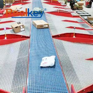 China Transportador de clasificación modular de alto rendimiento Sistemas de transportadores de almacén de bajo consumo wholesale