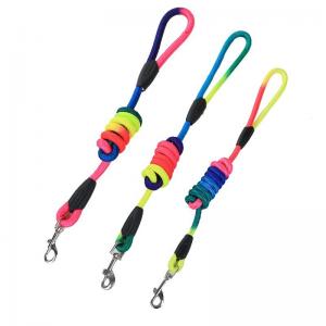 China Nylon Pet Traction Rope Anti Loss For Small Dog Teddy Cat Travel supplier