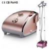China Double Poles Steam Iron For Hanging Clothes Easy To Grip With 1800 W Power wholesale