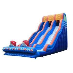 China Large Inflatable Slide Inflatable Water Slide  Party Slide For Kids and Adults supplier