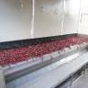 China Precise Temperature Control Pulse Air Supply Chili Dryer Machine Intelligent Operation wholesale