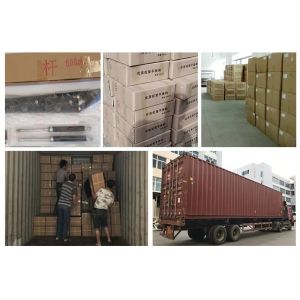 China ベッドガス支持/リフトガススプリングヒンジ/ガスリフティングメカニズム wholesale
