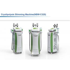 best professional Japan cooling pads cryolipolysis cool technology fat freezing machine -15 ceisius degree