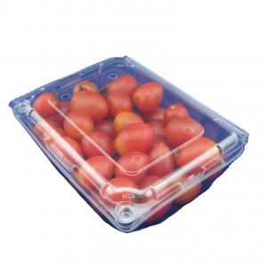 Eco Friendly Disposable PET Fruit Plastic Packaging Boxes OEM