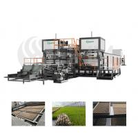 China Electrical Nursery Tray Making Machine Full Automatic Production Line on sale