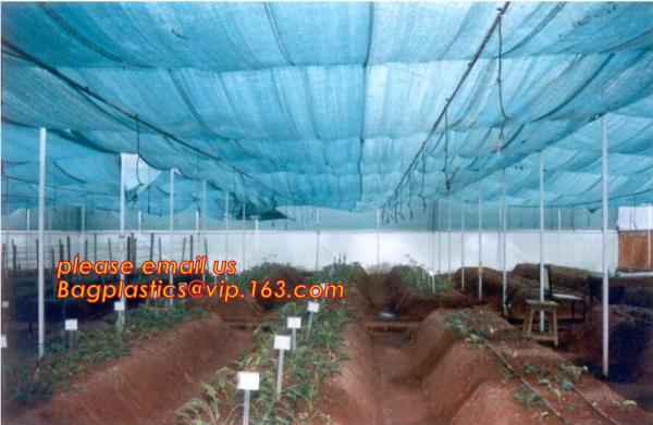 agriculture anti insect net on roll insect proof mesh for greenhouse,Greenhouse