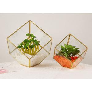 Micro landscape glass artifact cover display box house succulent plant eternal flower box kids gift wholesale