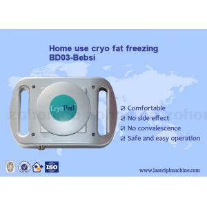 China Home use mini Cryo antifreeze pad cryolipolysis body slimming machine supplier