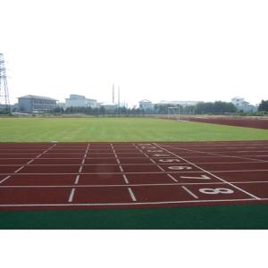 China Anti - molhado, não distorção, para não rachar campos atléticos do relvado artificial para a terra de esporte supplier