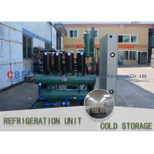 China Ice Cooling Freezer Cold Room America Copeland Compressor Condensing Unit 100MM Panel supplier
