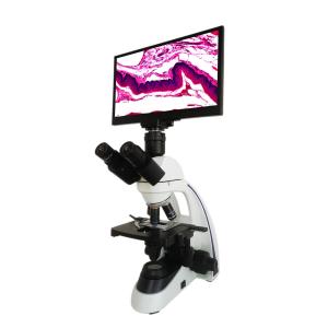 China Compound LCD Microscope For Living Blood Cell And Dead Blood Cell Analysis supplier