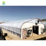 Hot Galvanized Steel Commercial Light Deprivation Greenhouse for Hemp Cultivation