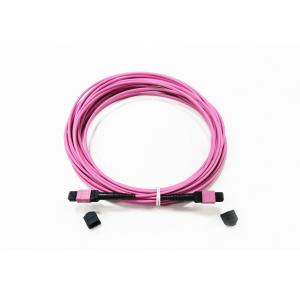 China 12 Fiber MPO Female Connector Patch Cord OM4  50/125um Elite Loss 0.35dB Purple Polarity A supplier