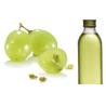 China pure SD grape powder new product (Vitis vinifera L)  for concentrate juice wholesale