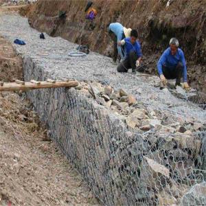 China Hexagonal 5*1*1m Gabion Wire Mesh Basket For River Engineering Project supplier