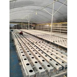 Automatic Temperature Control Hydroponic System for Oxygenation and Manual Monitoring
