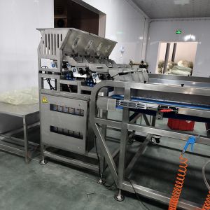 China Intelligent Tea Color Sorting Machine, Suitable For Complex Materials, Ensuring Sorting Accuracy wholesale