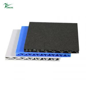 China 6mm 12mm Coloured Correx Plastic Honeycomb Sandwich Panel Blue supplier