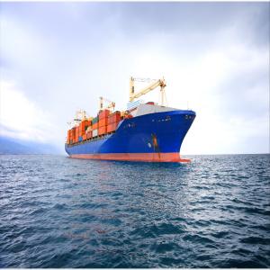 International DDU DDP Sea Freight Forwarding From China To Denmark