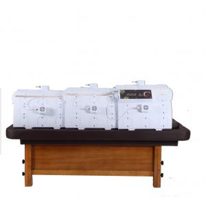 China 2015 New Traditional Chinese moxibustion machine health preserving spa equipment supplier