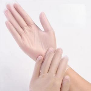 China M-Xl En455 Protective Disposable Gloves Transparent Cleaning Disposable Pvc Gloves supplier