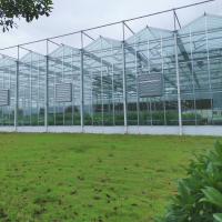 China Agriculture Flower Greenhouse Glass Industrial Outdoor Multispan Glass Professional Dutch Greenhouse For Flower Planting on sale