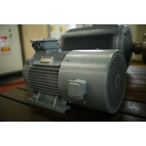 15kw 250rpm 230V PMG Permanent Magnet Generator For Hydro Turbine