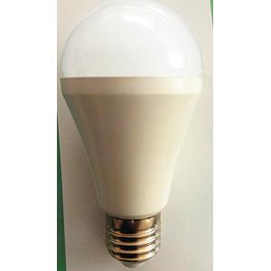 A60 14w bulb