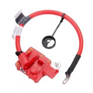 XINLONG LION Battery Blow Off Cable Lead Wire Plus Pole OEM 61129217031 for Standards