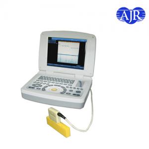 China BS-2000 Ultrasonic Flaw Detector supplier