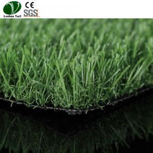 China Composite Pet Friendly Fake Lawn 25mm Pile Animal Feeding Green Color supplier