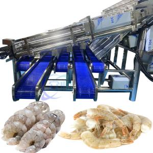 China Stainless Steel Shrimp Sorting Equipment Stable Anti Erosion supplier