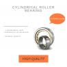 Automotive High Rigidity Single Row Cylindrical Roller Bearing, china supply,