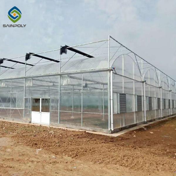 10m Hot Dip Galvanized Steel Frame Multi Span Greenhouse