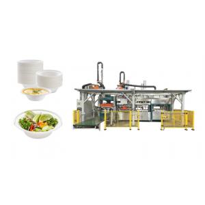 ISO9001 Paper Pulp Molding Machinery For Environmentally Friendly Packaging