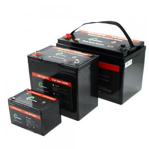 ABS Deep Cycle Lifepo4 Rechargeable Battery 12v 10ah 50ah 100ah 1280Wh