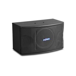 China 10 inch pro loudspeaker passive three way karaoke speaker OK210 wholesale