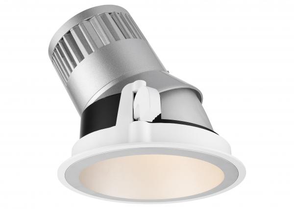 Adjustable Factory Professional 30W Dimmable COB LED Downlight For Hotel Lobby