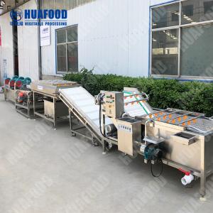 China Industrial Mushroom Air Bubble Washing Machine Tomato Paste Making Process Machine Clean Vegetable Processing wholesale