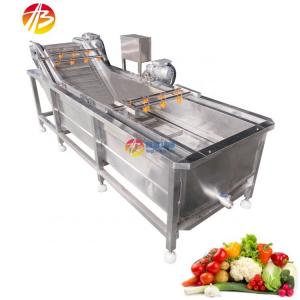 3000*1160*1400mm Green Vegetable Fruit Air Bubble Washing Machine for Mango Tomato