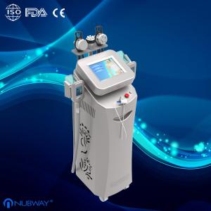 2014 new style Cryolipolysis Slimming Machine Radio Frequency for fat removal