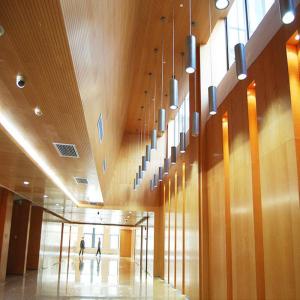 China Spraying Coating Brushed Aluminium Tiles 1.2mm Adhesive Suspended Ceiling Panel wholesale