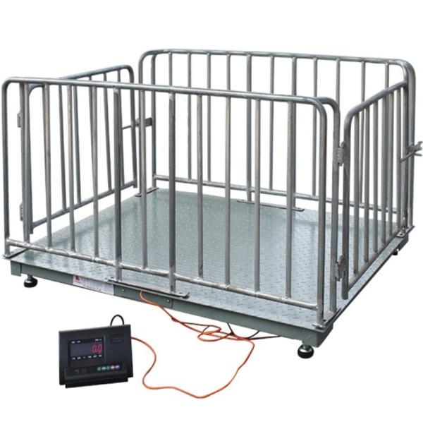 Weight Function Pig Cattle and Sheep Weighing Electronic Scale 1-3T Capacity for Accurate Farm Weighing