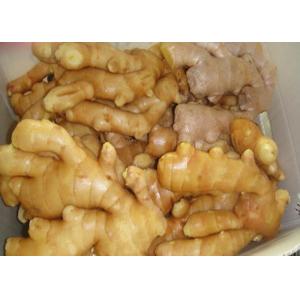 SGS organic Fresh Air Dried ginger to cure cough