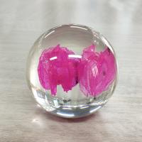 China Dried Flower Paperweight Ball 80mm Nature Style Logo Customized on sale
